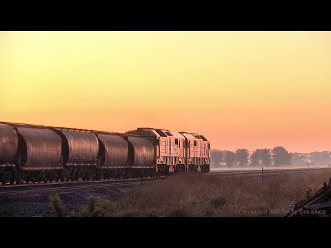 7732V Pacific National Grain Train At Sunrise (28/6/2020) - PoathTV Australian Railways