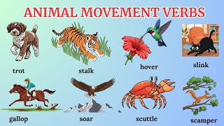 Animal Movement Verbs in English | Clamber, Soar, Hover, Swoop, Flutter Explained