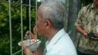 Download lagu Meme lagu bintang kecil ngakak 2021 #shorts #memeviral #memengakak mp3