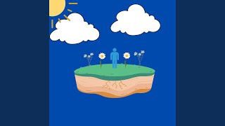 Picking These DaIsIeS