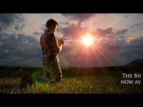 Bible in Indonesian with audio Video