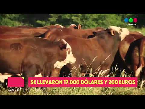 Robo millonario a la Estancia La Pelada