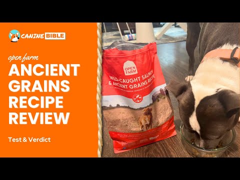 Open Farm Ancient Grains Recipe Review 2024: Our Experience & Verdict