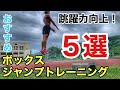 【跳躍力向上】おすすめボックスジャンプトレーニング5選
