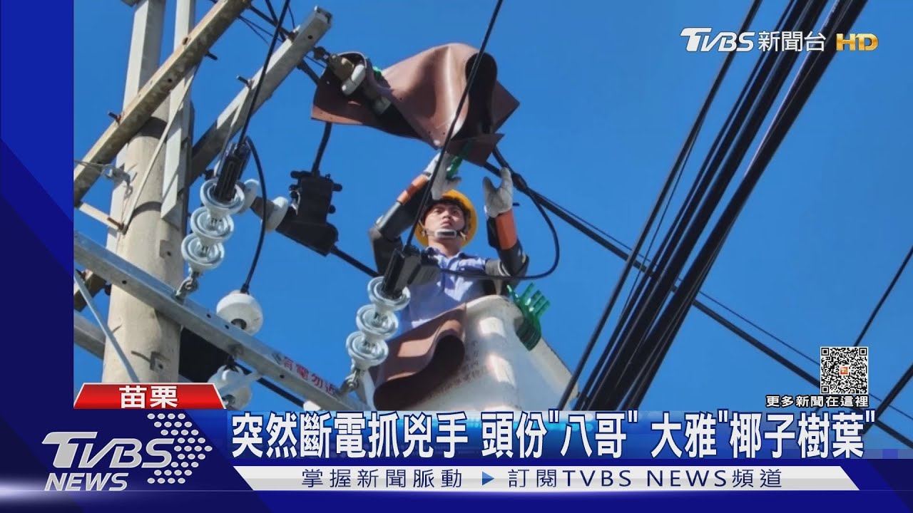 突然斷電抓兇手　頭份「八哥」大雅「椰子樹葉」