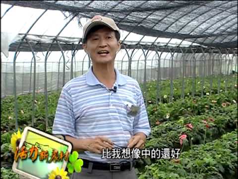 活力新農村-第001集 花花世界繽紛遊