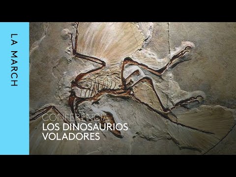 El vuelo (I): Dinosaurios voladores · La March