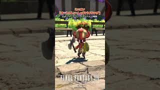 海賊風戦闘用魔法人形ミニオン！「オートマトン・レッドバイキング」#FF14