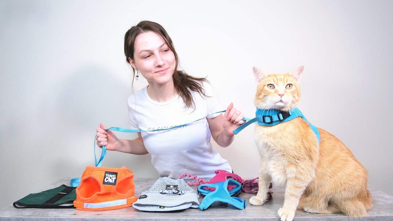 Watch video Top 5 Best Cat Harnesses (We Tried Them All) Now Top 5 Best Cat Harnesses (We Tried Them All)