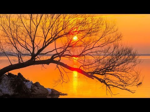 Onisim Grab - Vine Domnul | Vol.10 - 2021