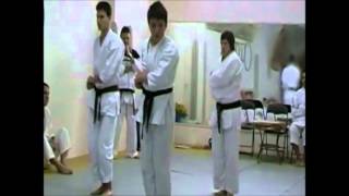 preview picture of video 'Nuova Athlon Karate - Bassai Dai & Bunkai - San Pancrazio Salentino(BR)'