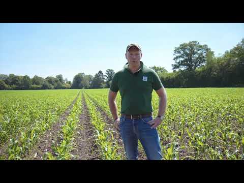 INITIO KWS | La combinazione che fa la differenza