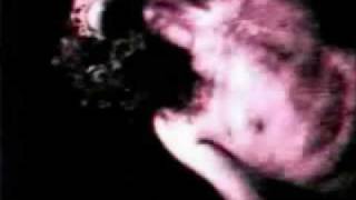 Deinonychus - To diagnose the fortunes of paranoia