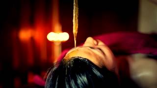 Lakshmi Menon at Ananda