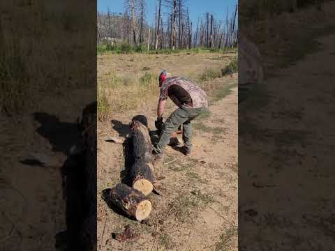 Echo CS-501P first use fail in Idaho