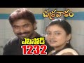 Episode 1232 CHAKRAVAKAM Telugu Daily Serial Srikanth Entertainments Loud Speaker