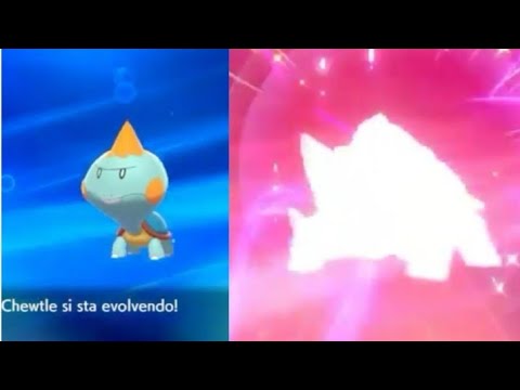 Chewtle si evolve in Drednaw - Pokémon Spada e Scudo