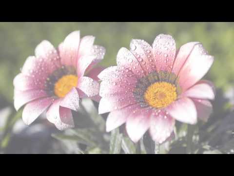 Вечерние рассказы для детей. История 085