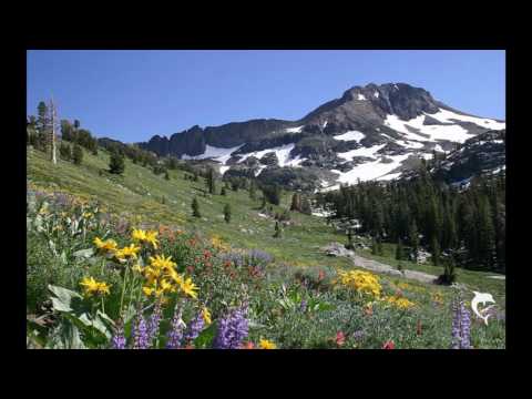 Mikica Krstic - Primovara salka in pupe