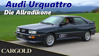 Cargold Youtube
