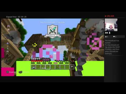 Arcade master playing hungry games on minecraft