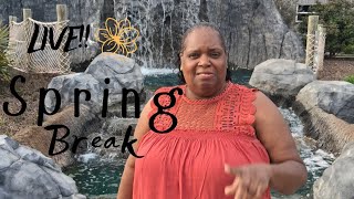 LIVE! Spring break In effect 🌸 Mini Golf ⛳️🏌♂️