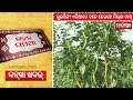 KHABAR SAMIA Episode 142 Kalinga TV