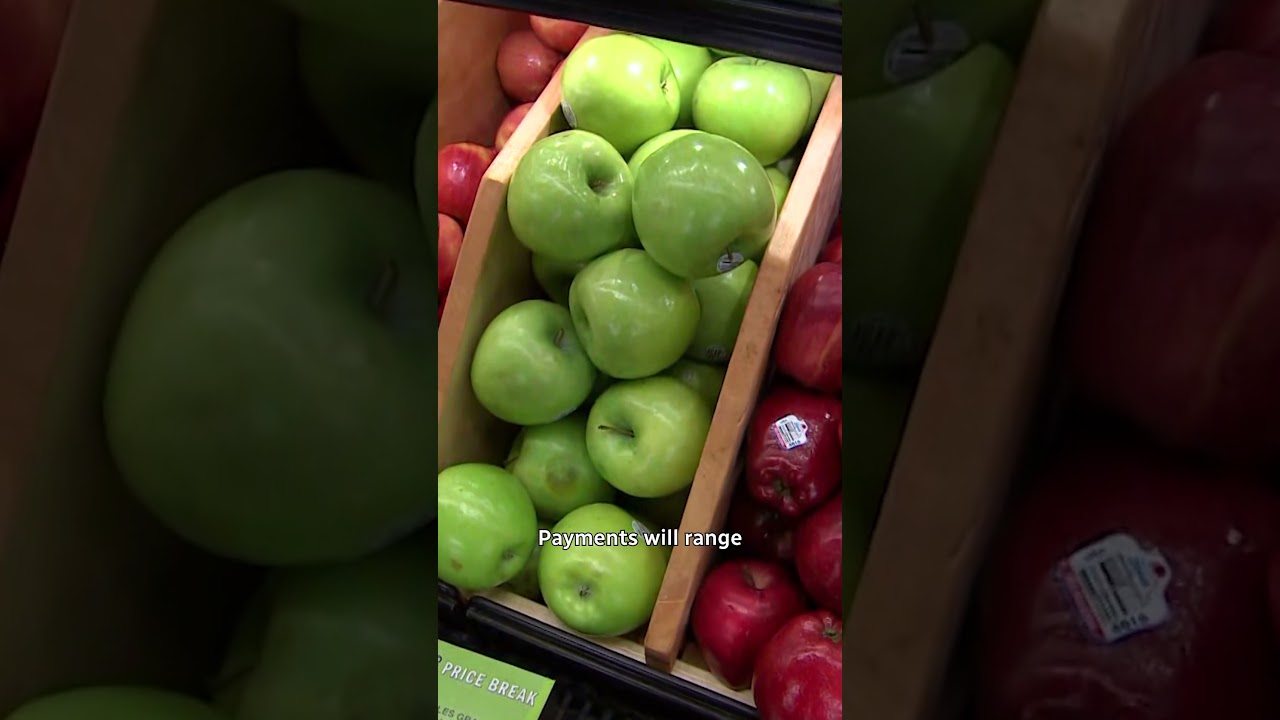 Many Canadians will get a 1-time grocery benefit this summer