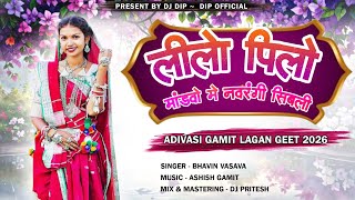 Download lagu LILO PILO MANDVO ME NAVRANGI SIBLI | GAMIT LAGAN GEET | DIP  mp3