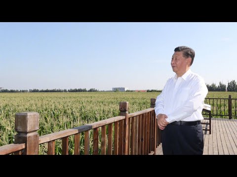 Xi Jinping inspects NE China's Jilin Province