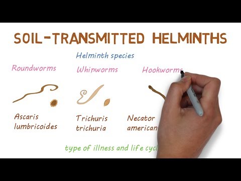 Helminthiasis hogyan lehet azonosítani