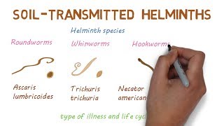 Deadly Worms!!! – A look at Soil Transmitted Helminths