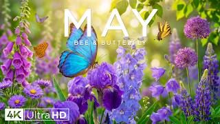 Spring Flowers 4K – When the Earth Turns Colorful 2026 🌸 Wildflowers, Rivers & Landscapes