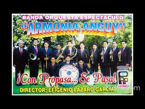 ARMONIA ANGUY  MERCEDINA