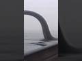 Loch Ness Monster Sighting: VHS Footage 1993