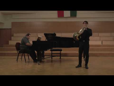 Franz Strauss: Fantasy on Schubert's Sehnsuchtswalzer