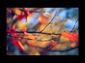 GIGA MIKABERIDZE - UTSKHO SADGUREBS 