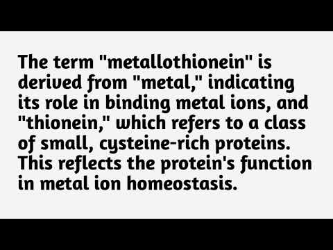 What is Metallothionein ?