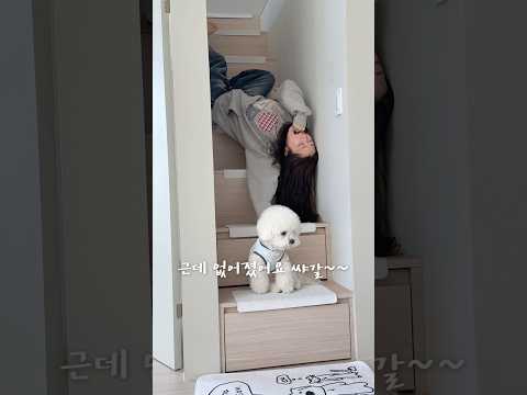 숨겨왔던 하콩이 아빠의 정체 ㄷㄷ