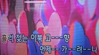 경상도아가씨/원곡자/(박재홍)/커버/(노래사랑정원)