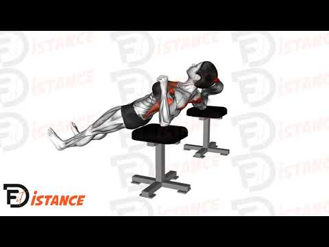 Exercice Pompes inversées sur les coudes