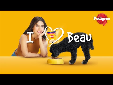 Pedigree Gravy - Bhumi's Unconditional Love for Beau