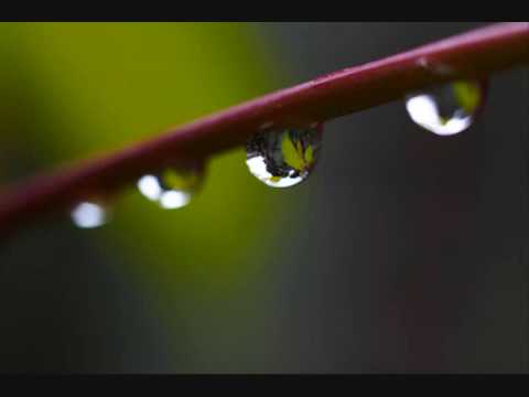 Christopher Young - Alive again