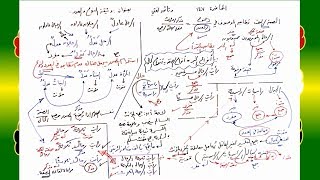 صورة 147 √ وثيقة النوع والعدد