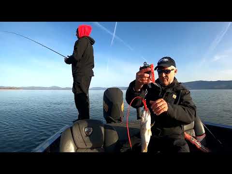 WWBT Tournament Clear Lake 2022 Day 1