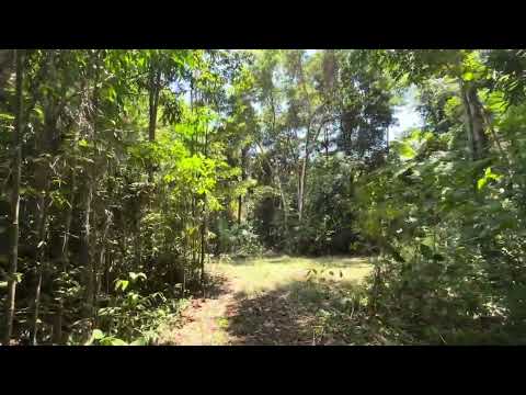 Address Withheld, Cape Tribulation, QLD 4873, 0 कमरे, 0 बाथरूम, Section