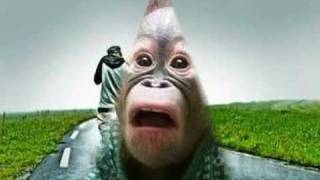 Agent Orange - Last Goodbye