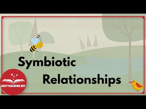 Symbiotic Relationships: Mutualism, Parasitism & Commensalism | EasyTeaching