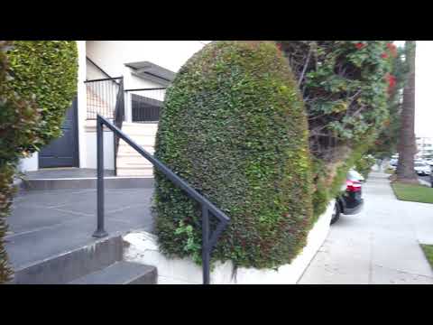 Going around Westwood, LA from Malcom - Zuma Housing