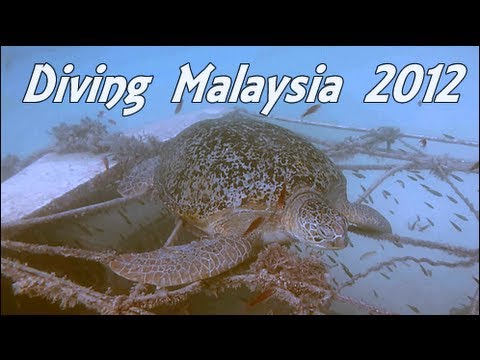 Diving Malaysia 2012